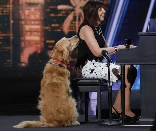 Oscar the singing dog