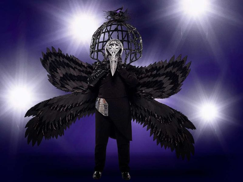 Masked Singer Clues Raven 2