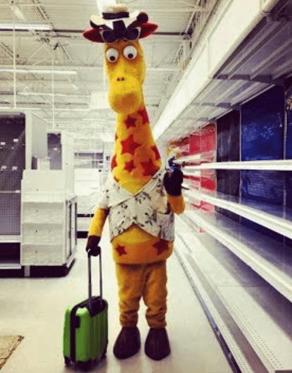toys r us giraffe