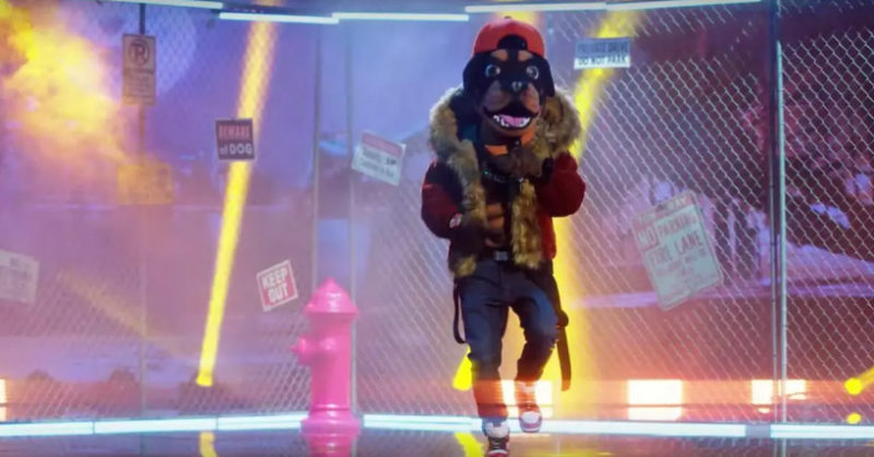Masked-Singer-Rottweiler