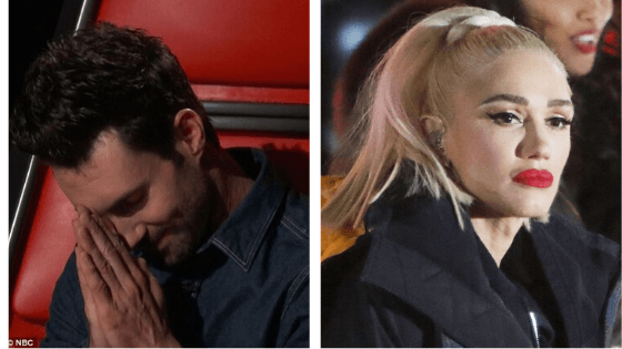adam levin and gwen stefani