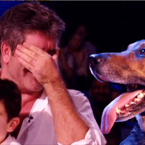 simon cowell crying agt bgt x factor