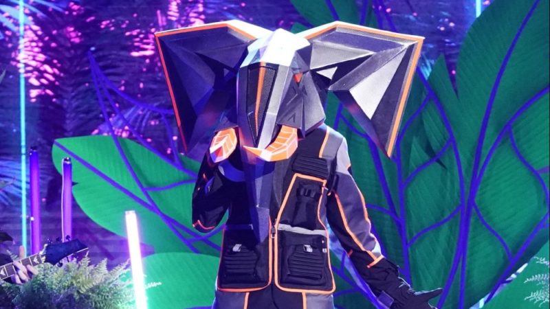 Masked-Singer-Group-B-Recap