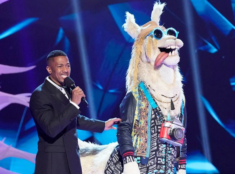 Masked-Singer-Recap-Llama