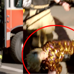 katy perry collapses american idol