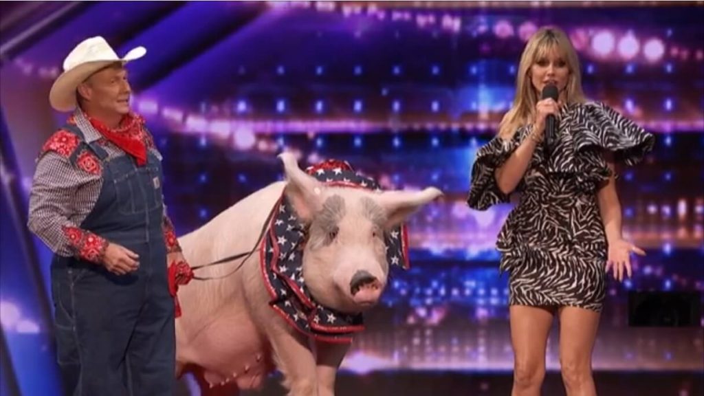 heidi Klum pig AGT