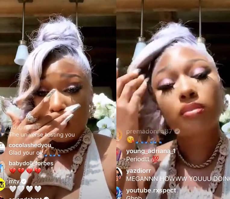 Megan Thee Stallion Tory Lanez