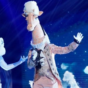 Masked-Singer-Group-A-Playoffs-Recap