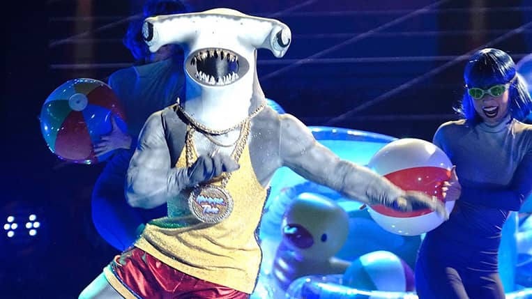 Masked-Dancer-Hammerhead