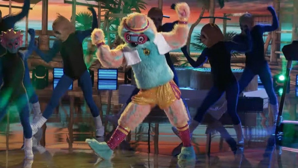 Masked-Dancer-Sloth