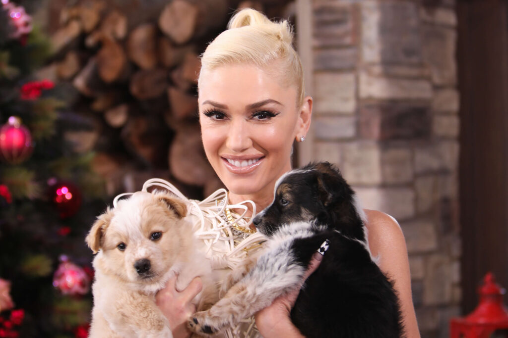 gwen stefani engagement ring blake shelton 1 1