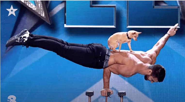 Christian-Stoinev-Italias-Got-Talent-AGT-BGT-Das-Supertalent