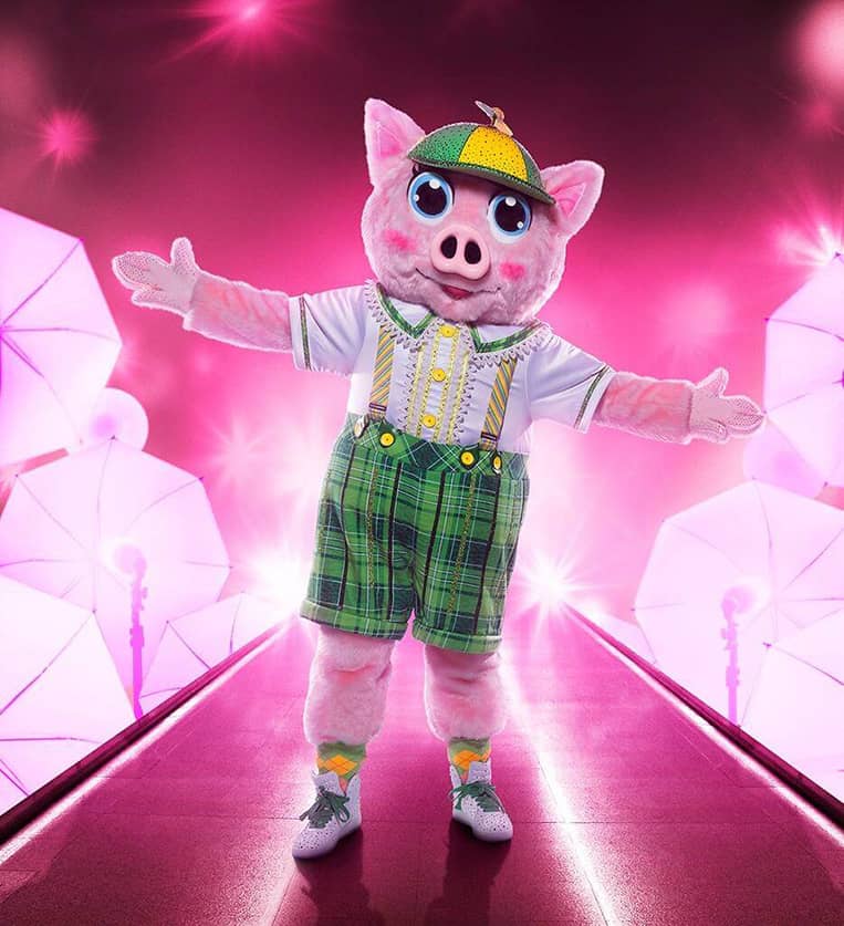 the masked singer reveal pg 1