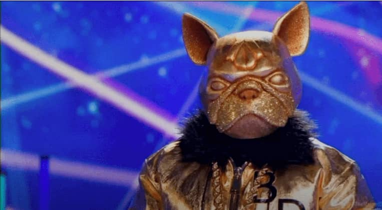 The-Masked-Singer-The-Black-Swan-The-Crab-The-Bulldog-Niecy-Nash-Nick-Cannon