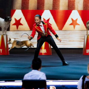 BGT Dogs