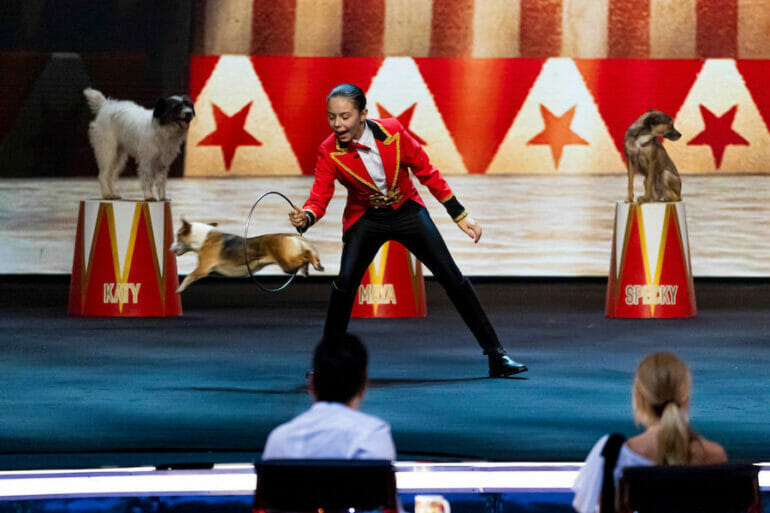 BGT Dogs
