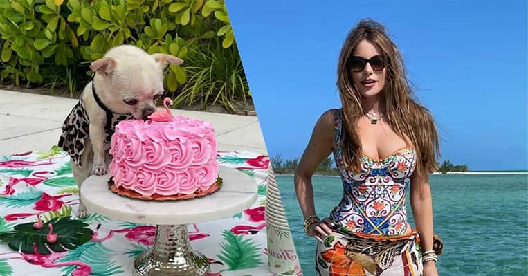 Sofia Vergara Birthday