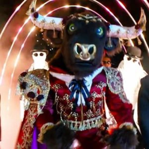 The Masked Singer Bull