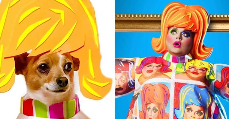 RuPaul Dogs