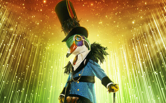 The Masked singer Mallard