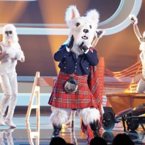 the masked singer mcterrier
