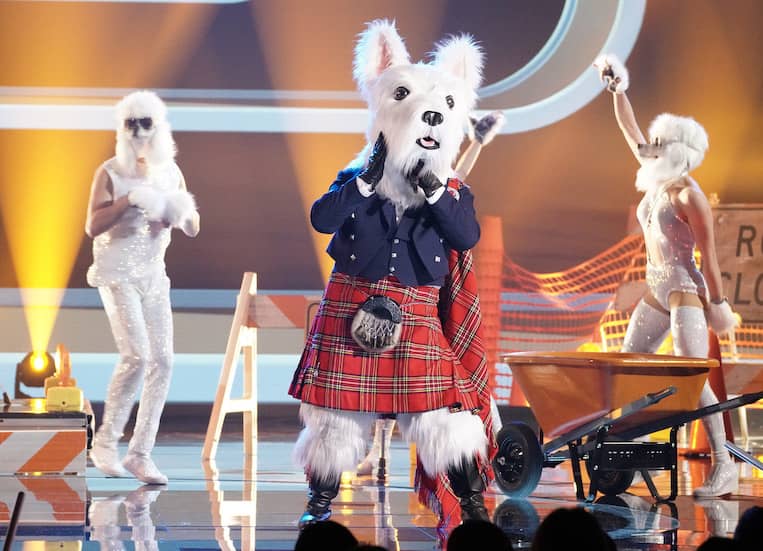 the masked singer mcterrier