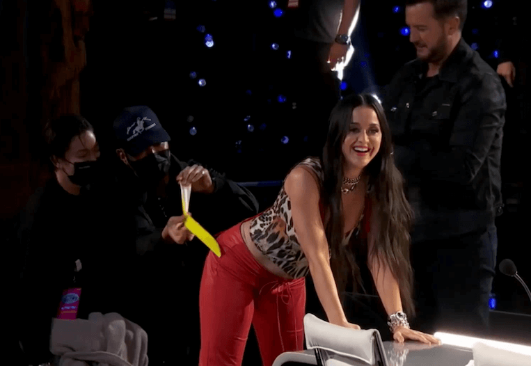 Katy perry pants