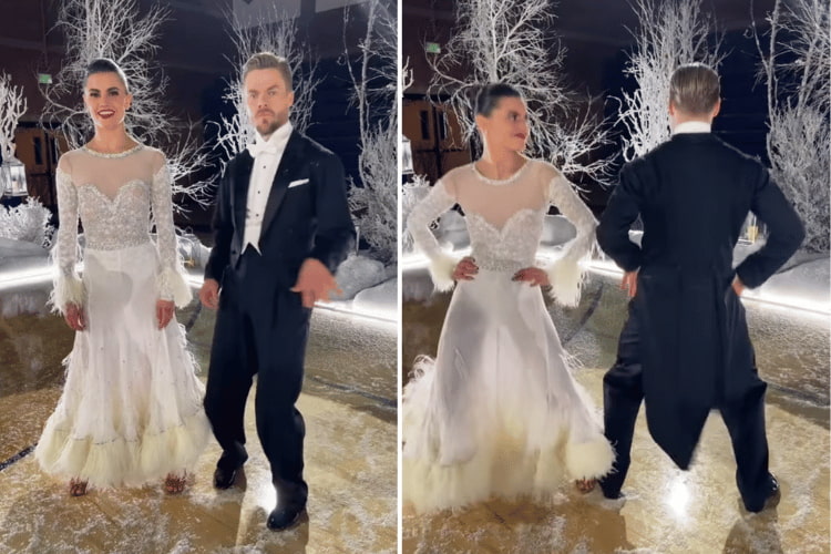 Derek Hough and Hayley Erbert via Instagram