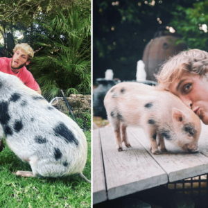 Logan Paul with Pearl the Pig