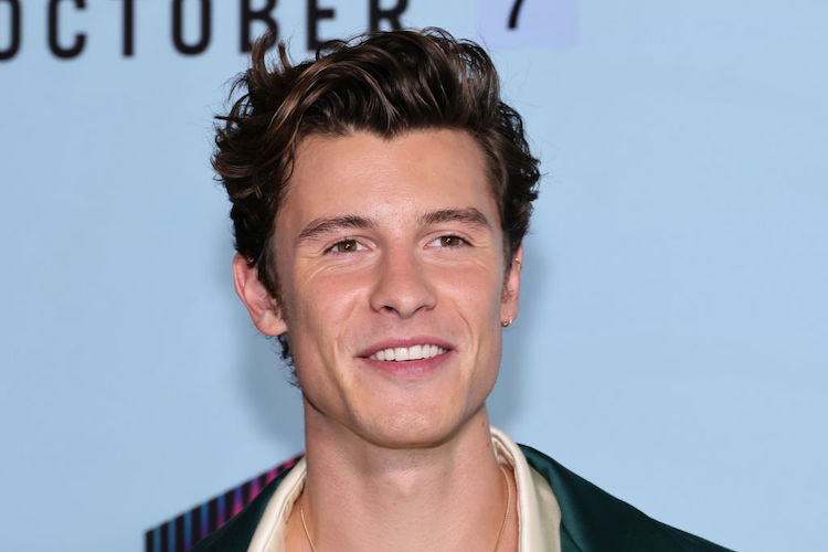 Shawn Mendes at "Lyle Lyle Crocodile" premiere