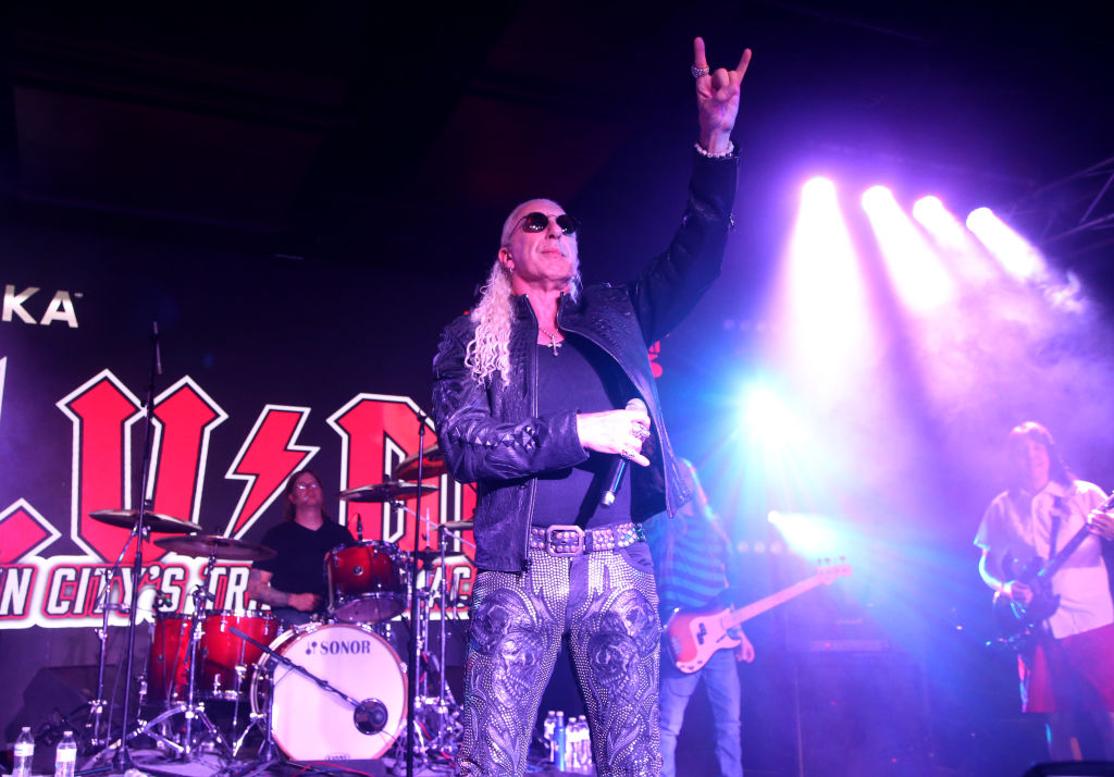Masked Singer Doll Dee Snider