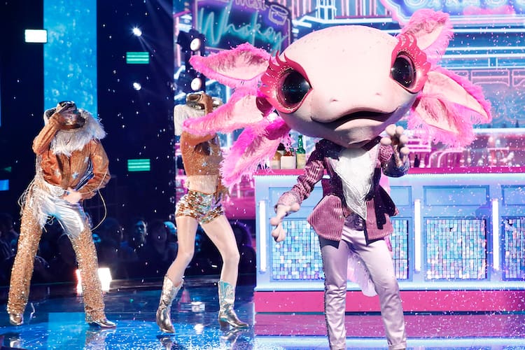 Axolotl on 'The Masked Singer'