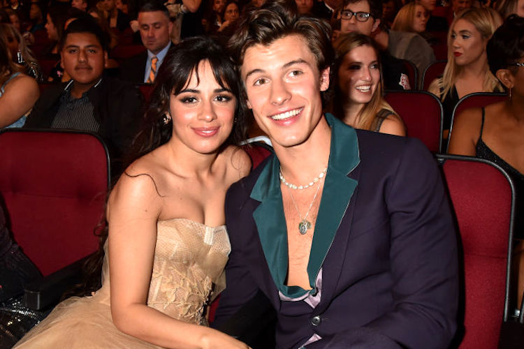 Camila Cabello and Shawn Mendes at the 2019 American Music Awards