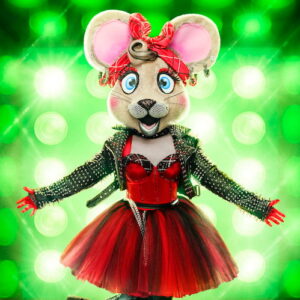 Anonymouse on 'The Masked Singer'