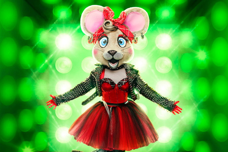 Anonymouse on 'The Masked Singer'