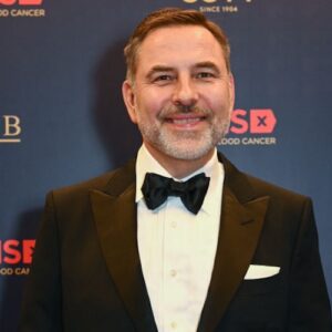 David Walliams on the 2023 DKMS London Gala red carpet