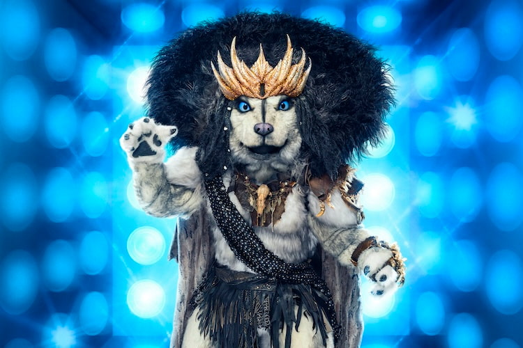Husky on 'The Masked Singer'