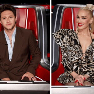 Niall Horan and Gwen Stefani for 'The Voice'