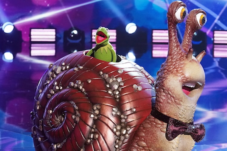 Kermit The Frog unmasked on 'The Masked Singer'