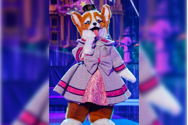 Queen Corgi on 'The Masked Singer'